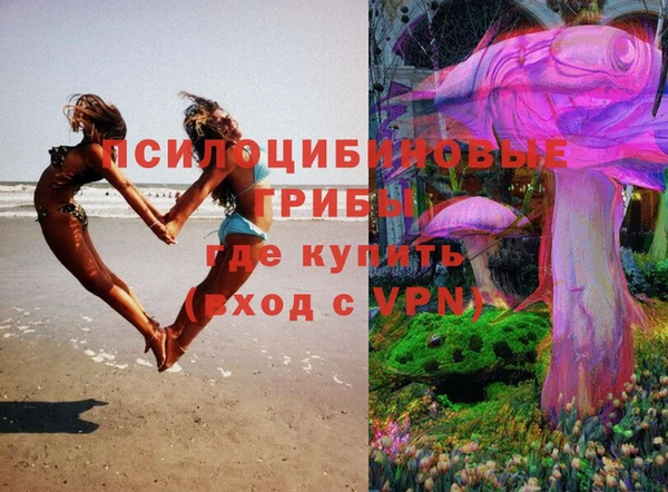 тгк Алексеевка