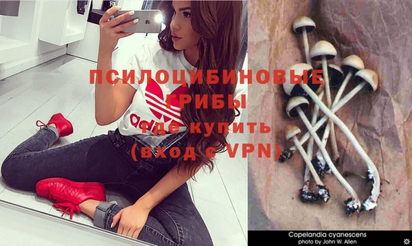 крисы Нефтегорск