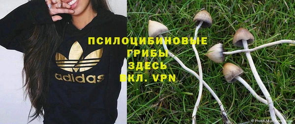 тгк Алексеевка